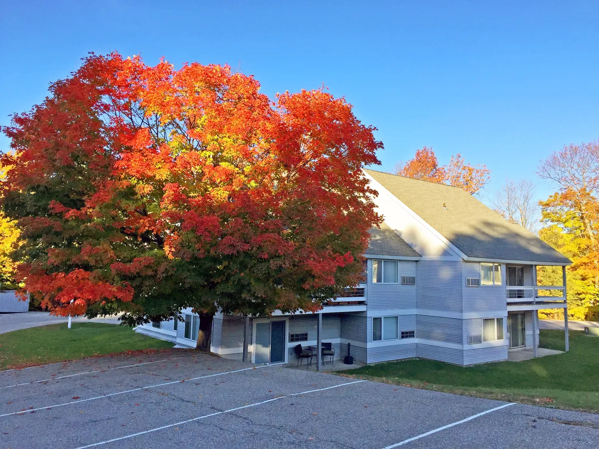 A modern apartment building with a vibrant red tree in the foreground, set against a bright blue sky. The scene captures the essence of the changing seasons—autumn leaves, outdoor seating, and a welcoming patio or porch area.